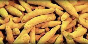 Turmeric Finger