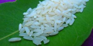 Non Basmati Rice