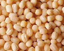 Whole Black Matpe Beans