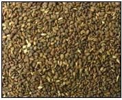 Brown Sesame Seeds