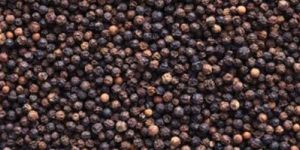 Black Pepper Seeds