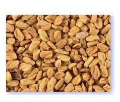 Fenugreek Seeds
