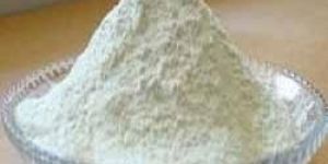 White Onion Powder