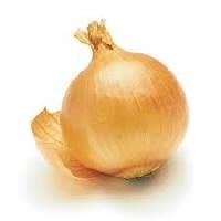 Yellow Onion