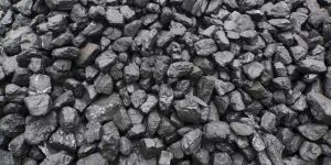 Black Coal