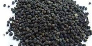 Black Pepper