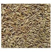 Cumin