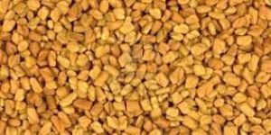 Fenugreek