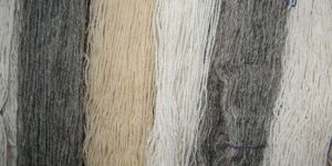 Indian Carpet Woollen Yarn