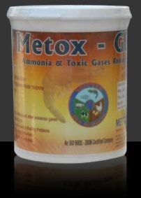 Toxic Gases Reducer