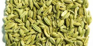 Fennel Seeds