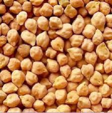 White Chickpeas