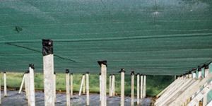 Green House Net