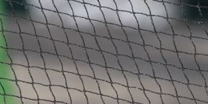 Knitted Anti Bird Net