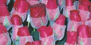 Rose Bud Net