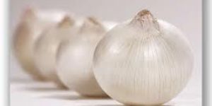 Fresh White Onion 1