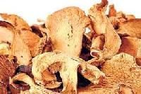 Dried Mushrooms