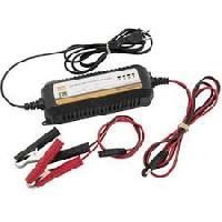 Motorcycle Battery Charger