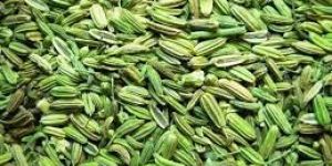 Fennel Seeds