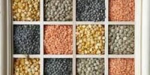 Indian Pulses