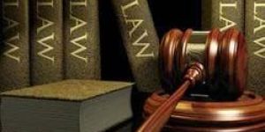 Company Law Consultancy