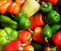Color Capsicum