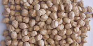 Chick Peas