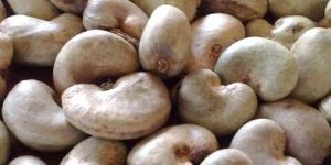 Raw Cashew Nuts