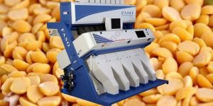 Dal Color Sorting Machine