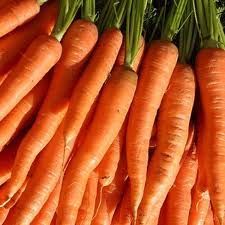 Fresh Carrots