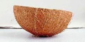 Coconut Shell