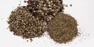 Black Pepper Powder