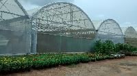 Polyhouse