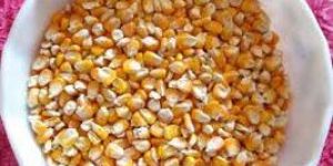 Maize