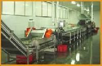 Frozen Vegetable Processing Plant