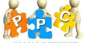 Pay Per Click Service