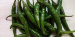 Fresh Green Chilli