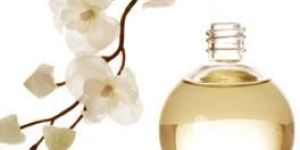 Oudh Al Mahtoob Fragrances