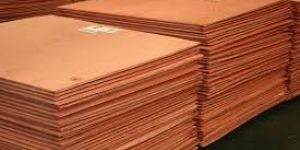Copper Cathodes