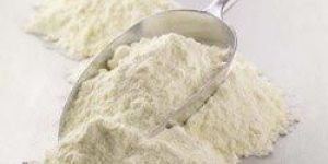 Whole Milk Powder