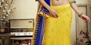 Party Wear Lehenga Choli
