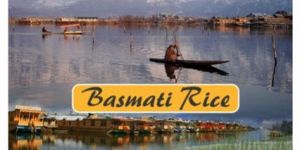 Pusa Golden Sella Basmati Rice