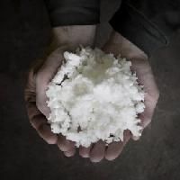 Wood Pulp