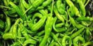 Fresh Green Chilli
