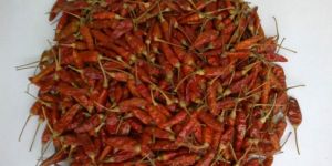 Birds Eye Chilli