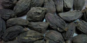 Black Cardamom Pods
