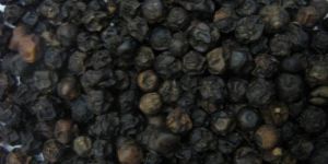 Black Pepper
