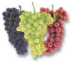 Fresh Grapes