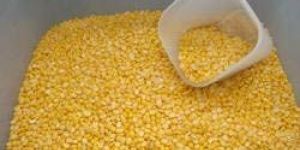 Arhar Dal
