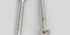 Stainless Steel Self Tapping Screws